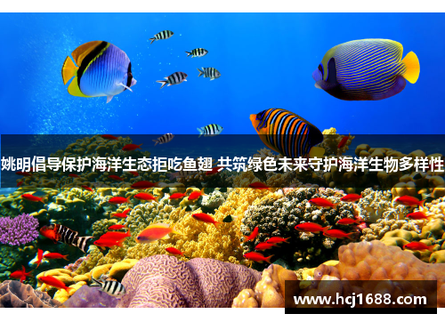 姚明倡导保护海洋生态拒吃鱼翅 共筑绿色未来守护海洋生物多样性